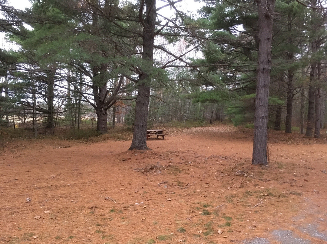 Clairmont Provincial Park-Kingston必去景点