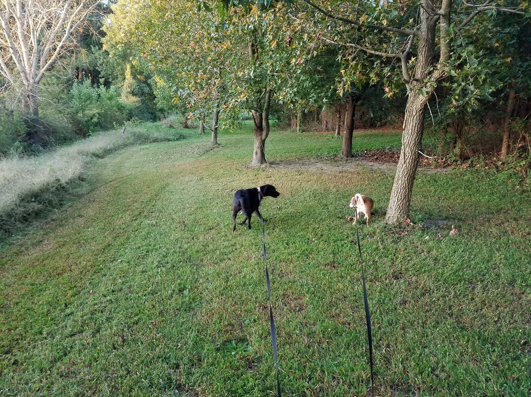 Marion Station酒店住宿-Garden and Sea Inn