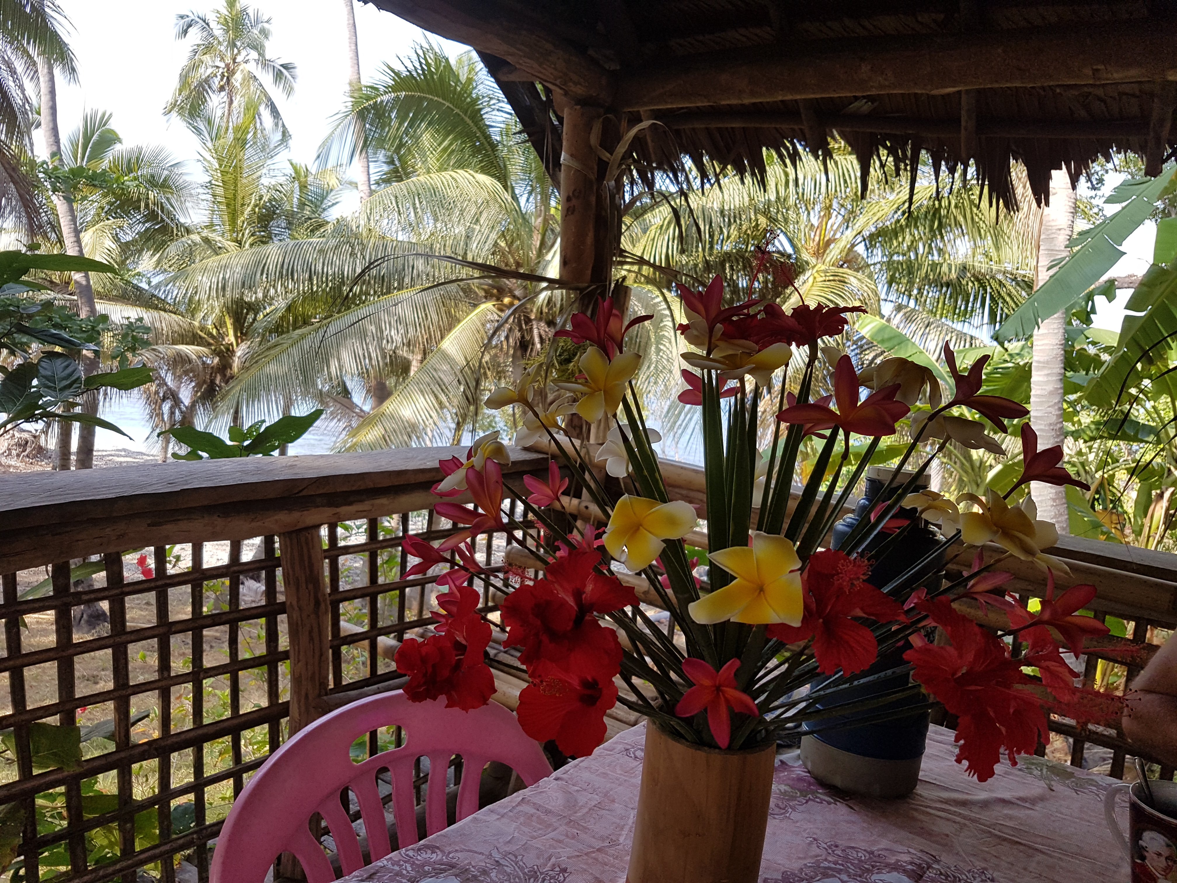 Terter Hot Springs Bungalows-餐饮