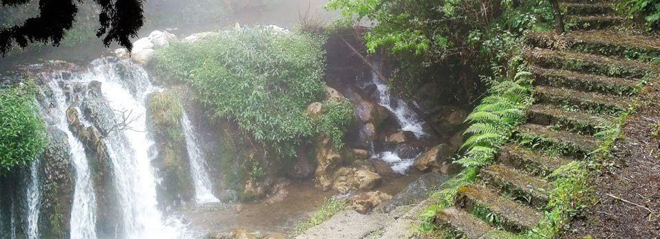 Lake Mist景点图片