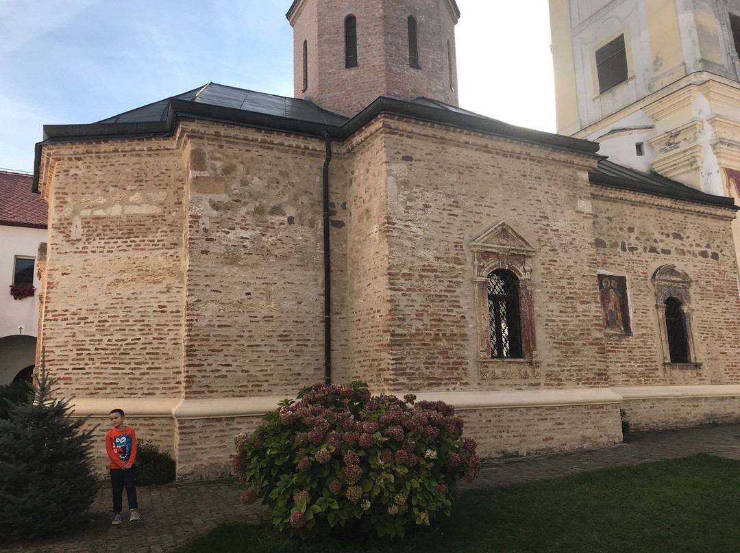 Velika Remeta Monastery景点图片