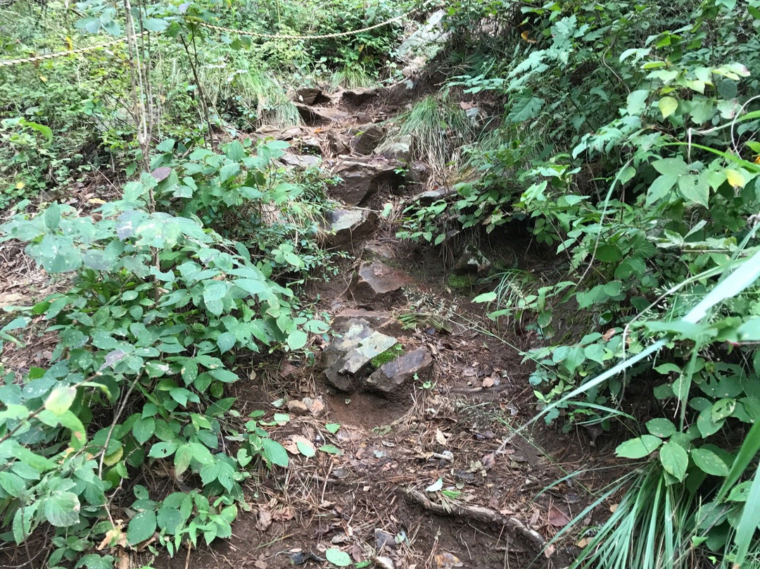 Mt Momokura景点图片