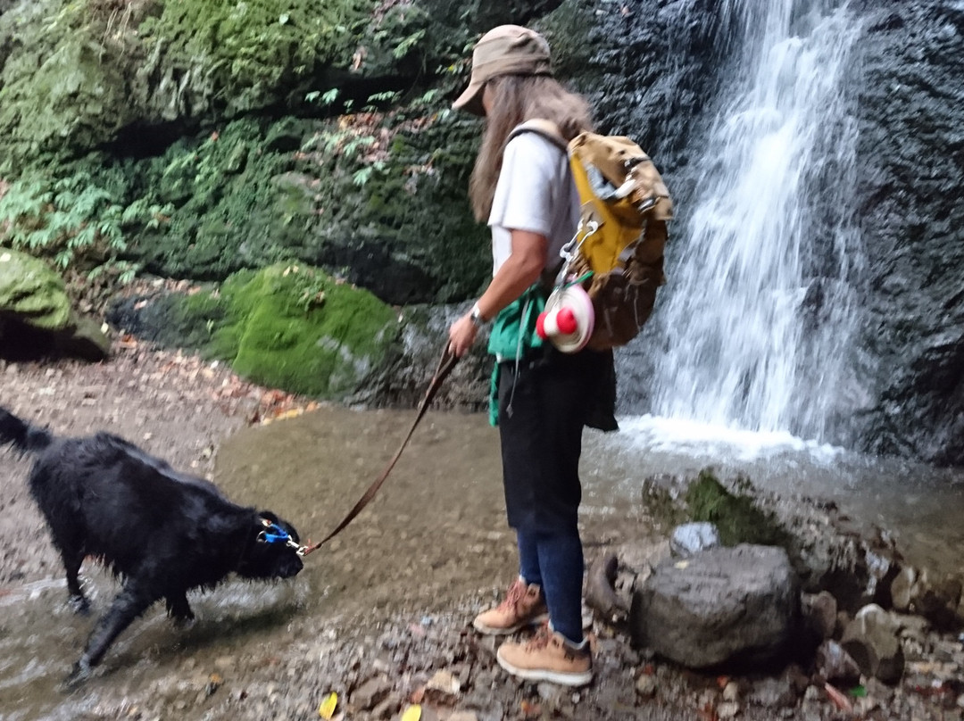 Ayahiro Falls-青梅市必去景点