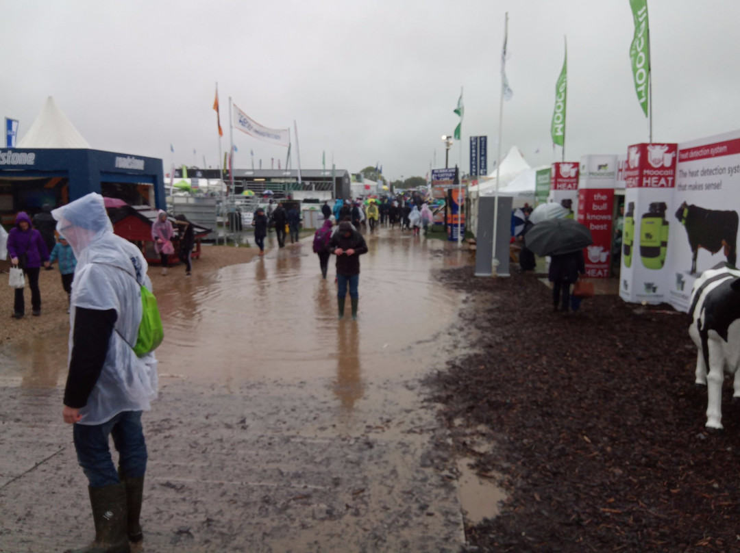National Ploughing Championships景点图片