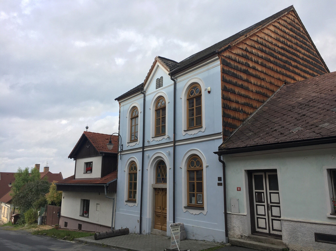 Horska Synagoga Hartmanice景点图片