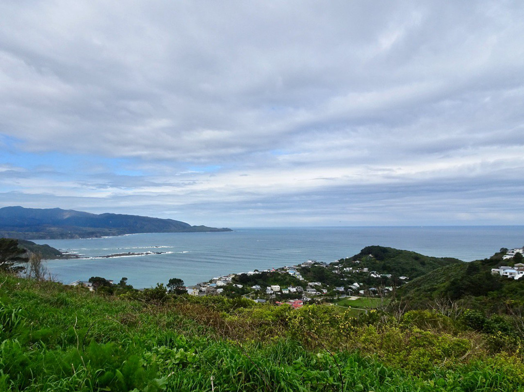 Southern Walkway-惠灵顿必去景点