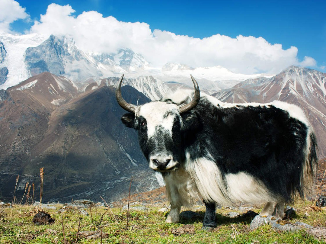 Khumbu Nangpala Trekking and Expedition-加德满都必去景点