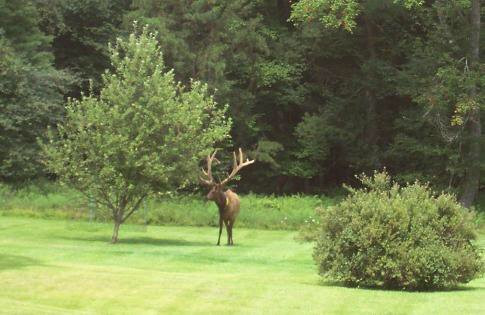 Road Less Traveled Bed & Breakfast主图