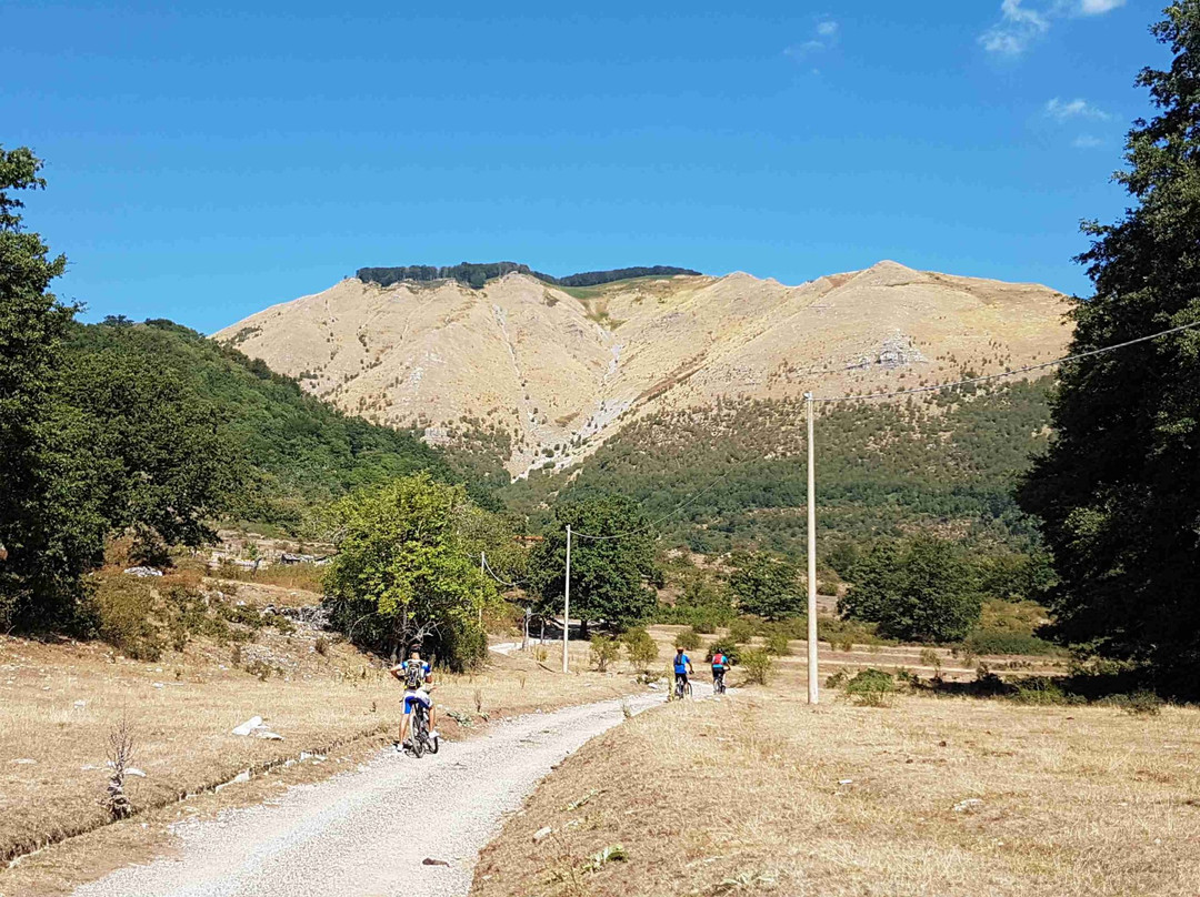 E-bike Adventure Tour景点图片