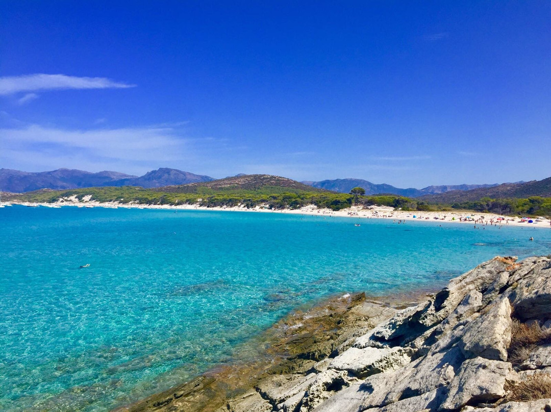 Plage de Saleccia-Santo-Pietro-di-Tenda必去景点