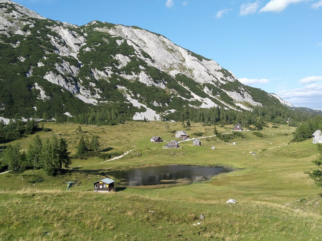 Tauplitzalm Alpenstrasse景点图片