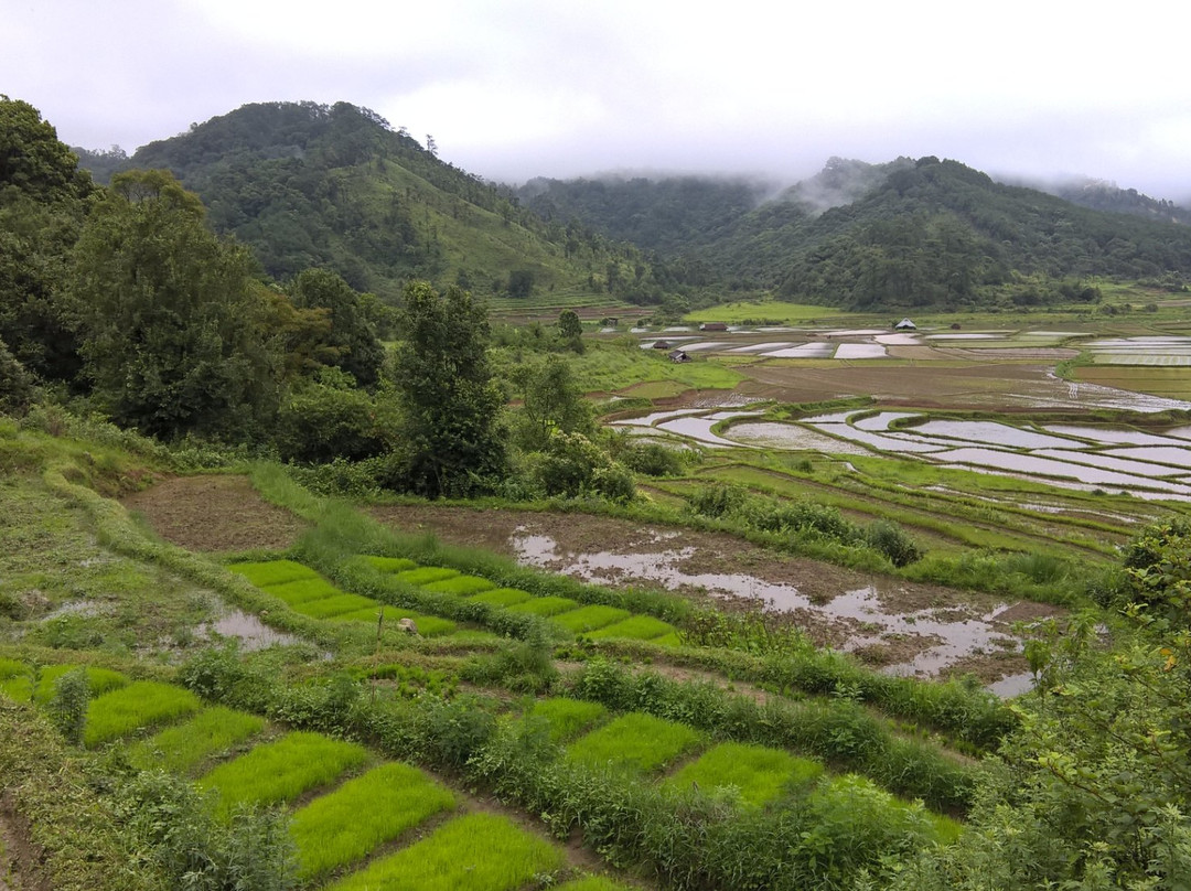 Ialong Park景点图片