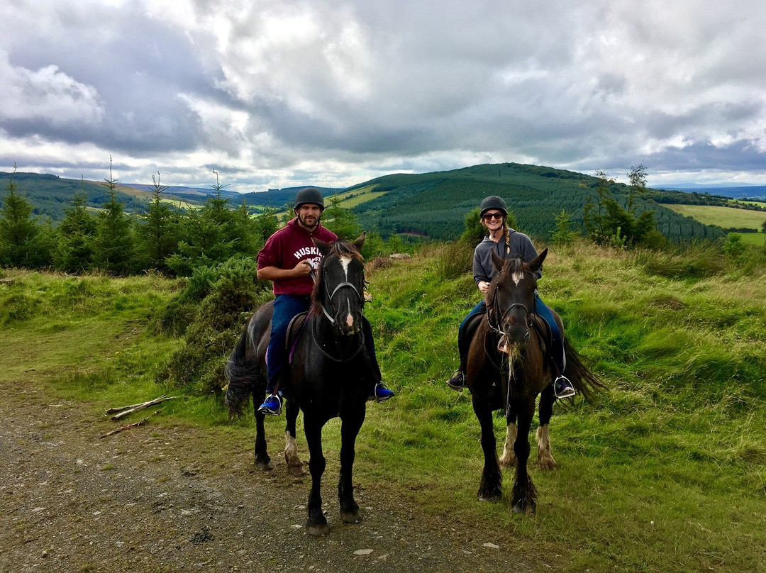 Birr Equestrian Centre景点图片