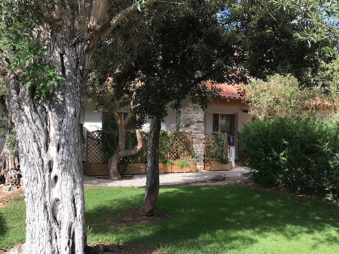 Siamaggiore酒店住宿-Via dei Mari Guest House