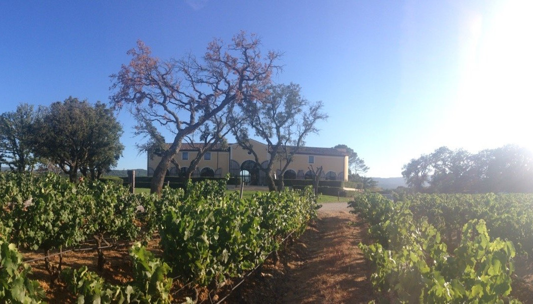 Château Saint-Maur Cru Classé-Cogolin必去景点