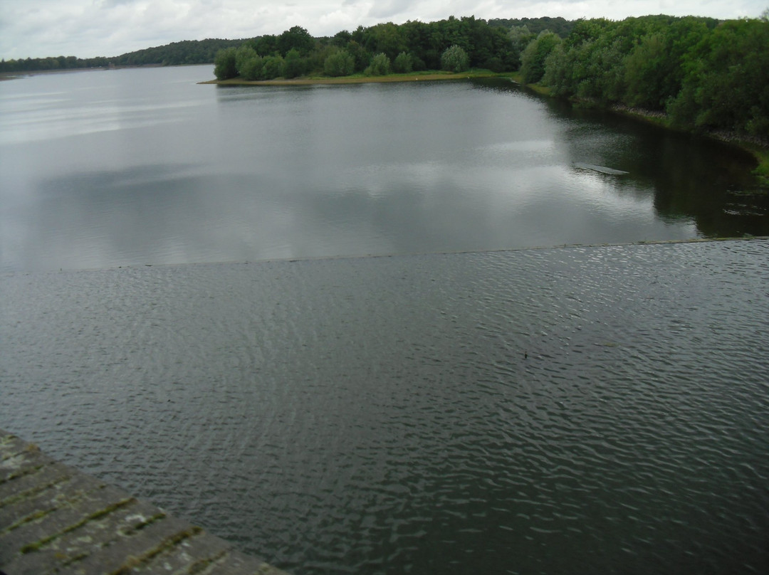 Swithland Reservoir景点图片