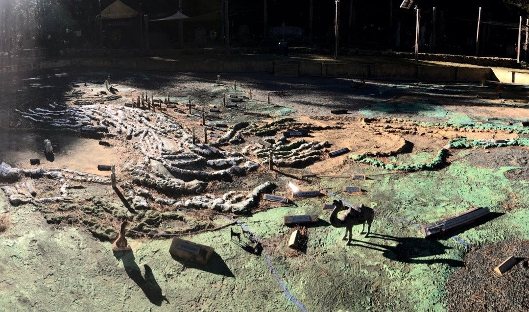 Sunnataram Forest Monastery-Bundanoon必去景点