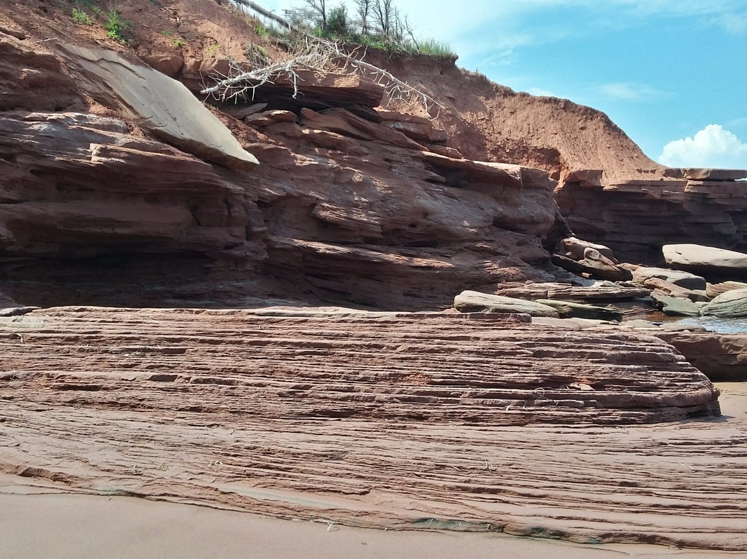 Malpeque旅游攻略图片