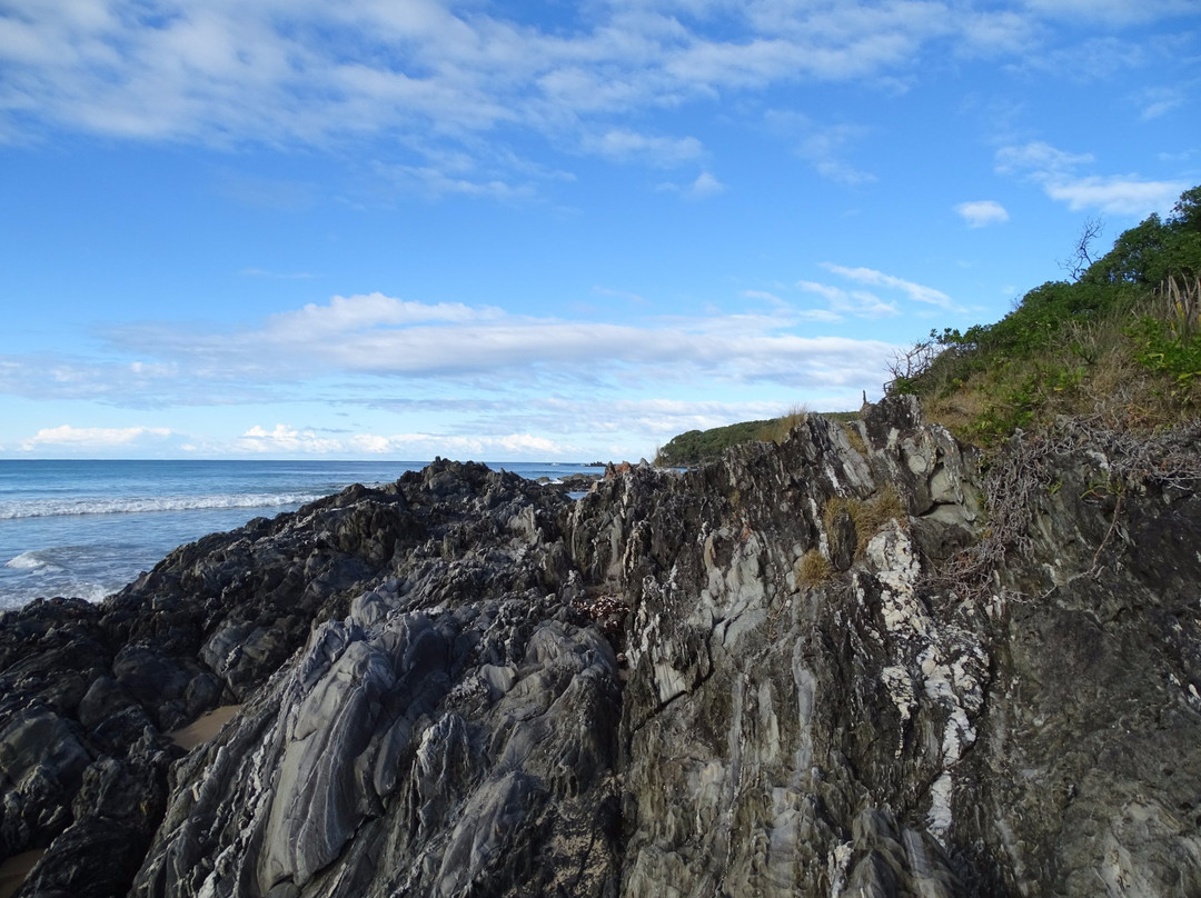Cape Conran Nature Trail景点图片