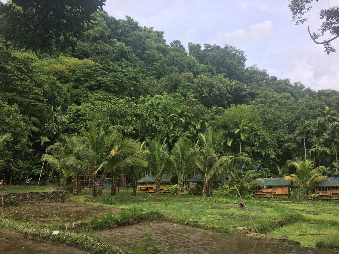 Camp Tipolo Adventureland景点图片