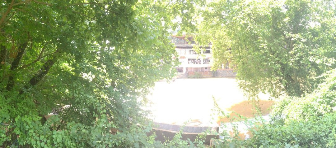 Alapocas Run State Park-威尔明顿必去景点