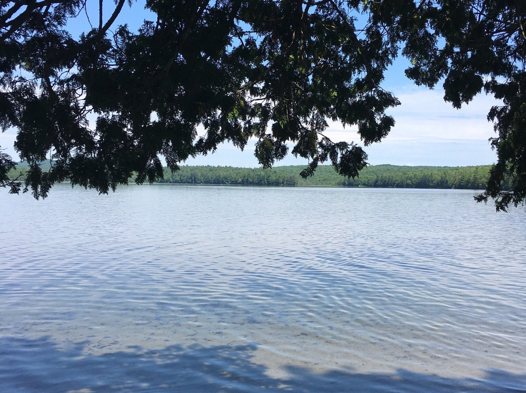 Lake George Regional Park景点图片