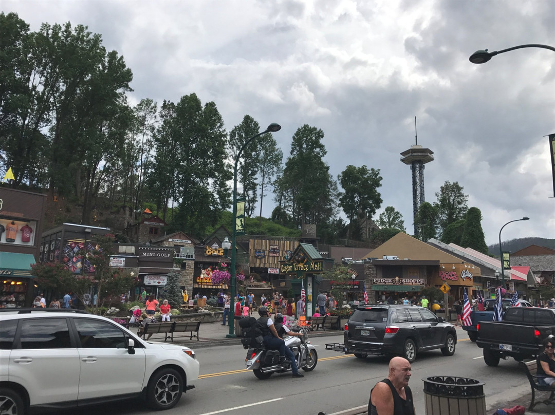 Reagan Terrace Mall-盖林柏格必去景点