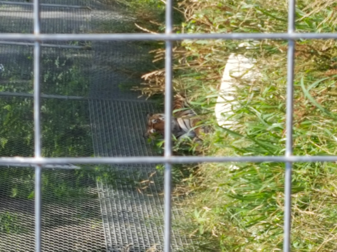 Black Pine Animal Sanctuary景点图片