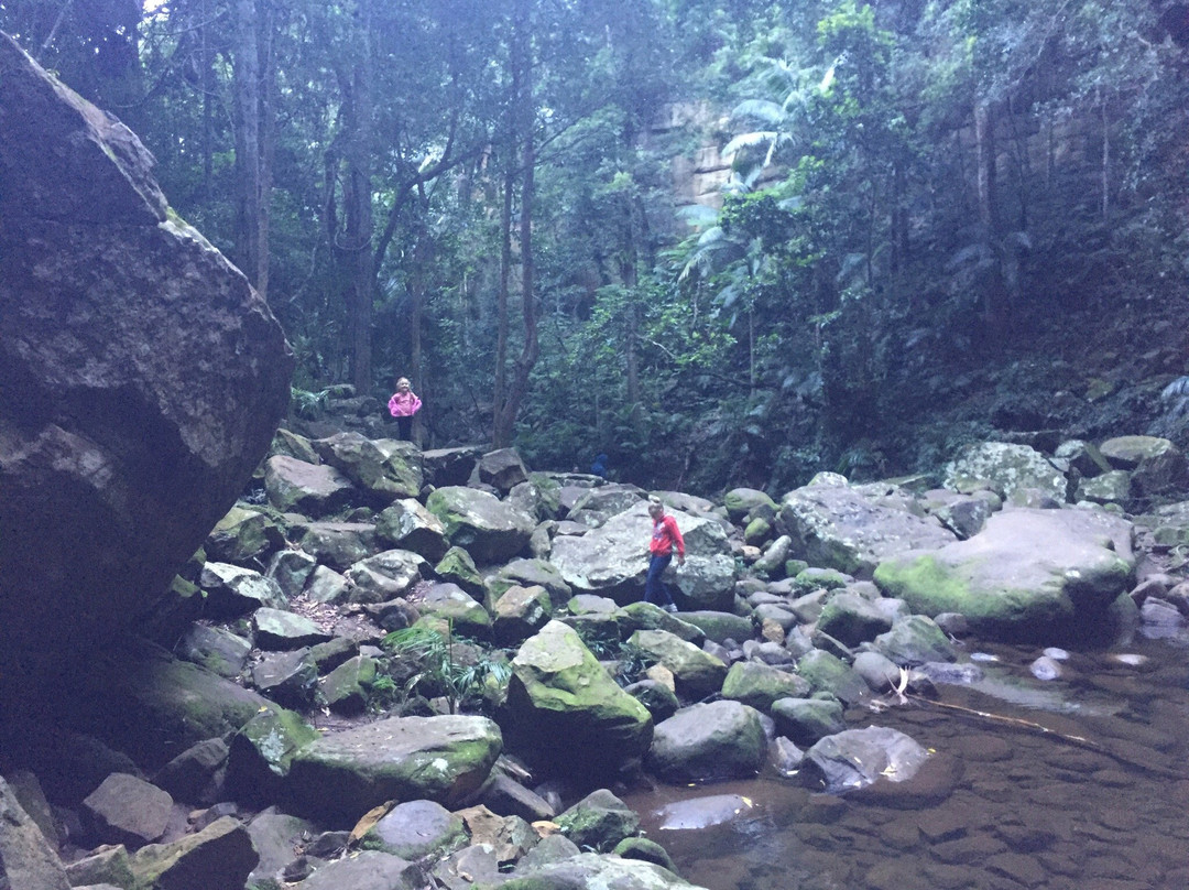 Gap Creek Falls Trail景点图片