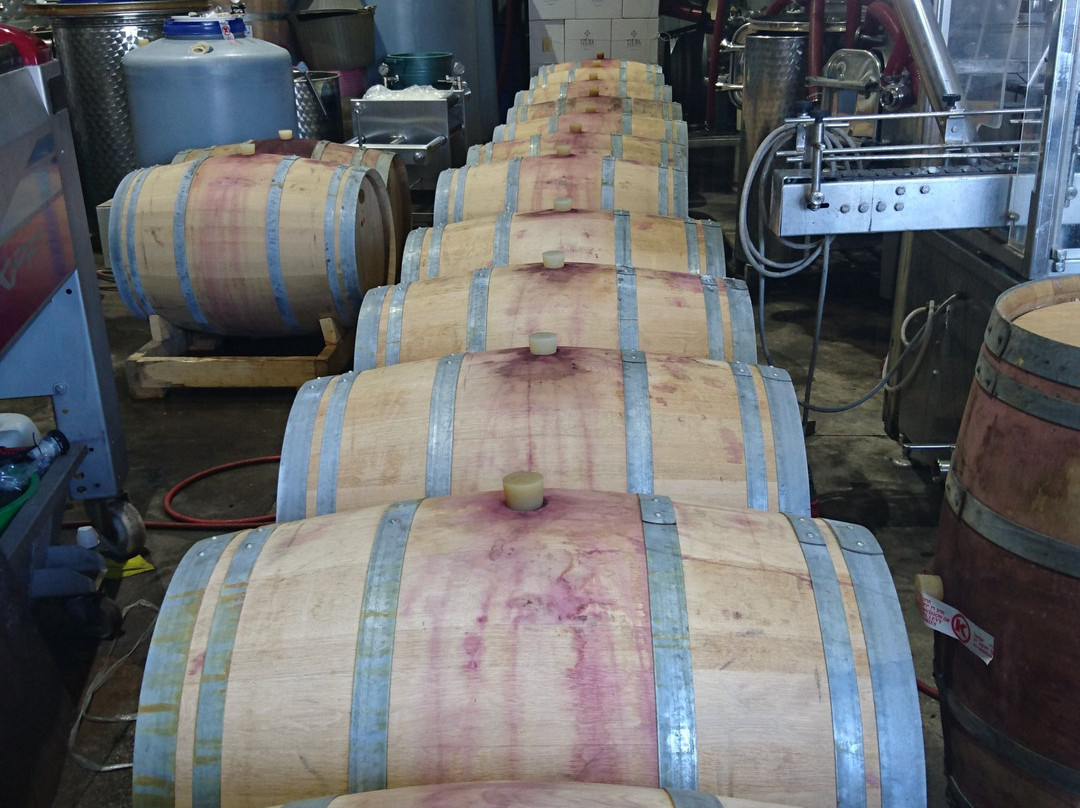 Tzuba Winery-耶路撒冷必去景点