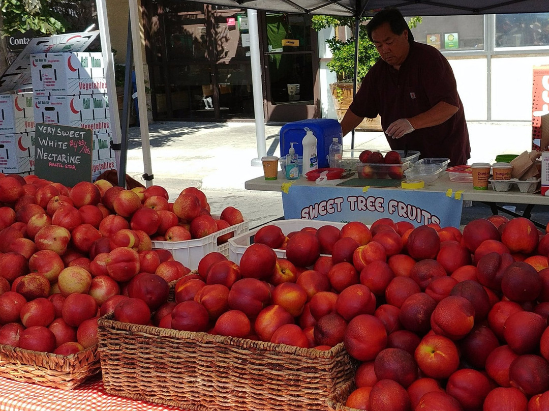 California Avenue Farmer's Market-帕罗奥多必去景点