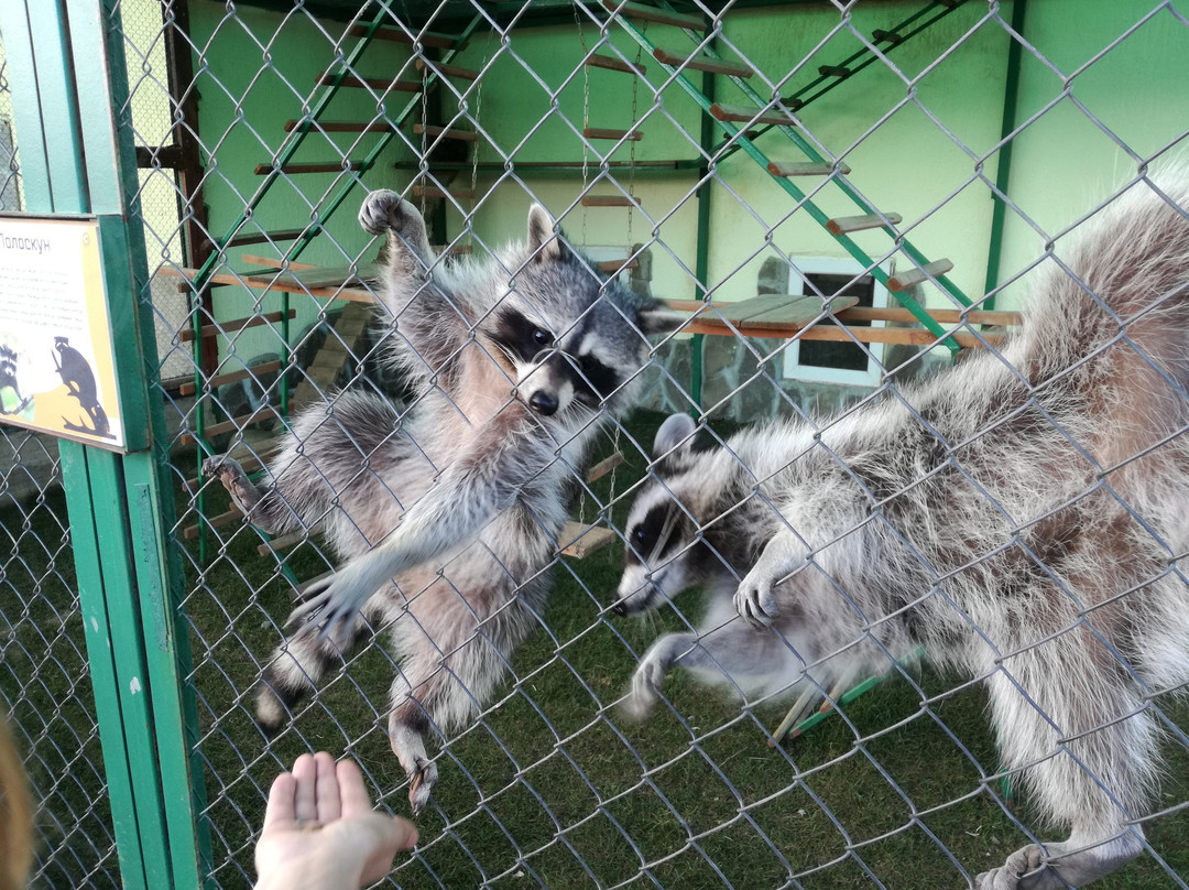 Ekzootik Park-Moscow Oblast必去景点