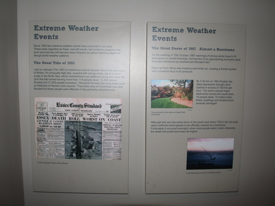 Colchester's Natural History Museum景点图片