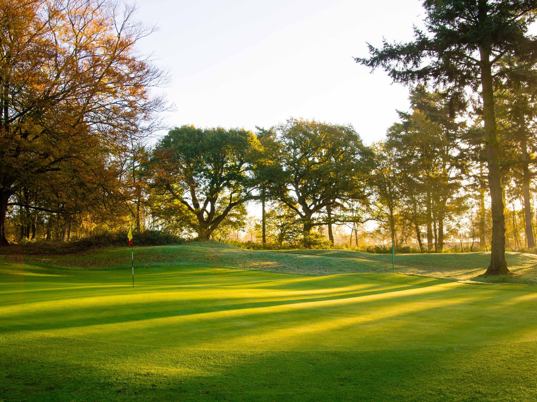 Swaffham Golf Club景点图片