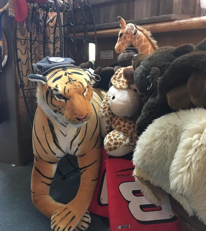 Brass Armadillo Antique Mall-Wheat Ridge必去景点