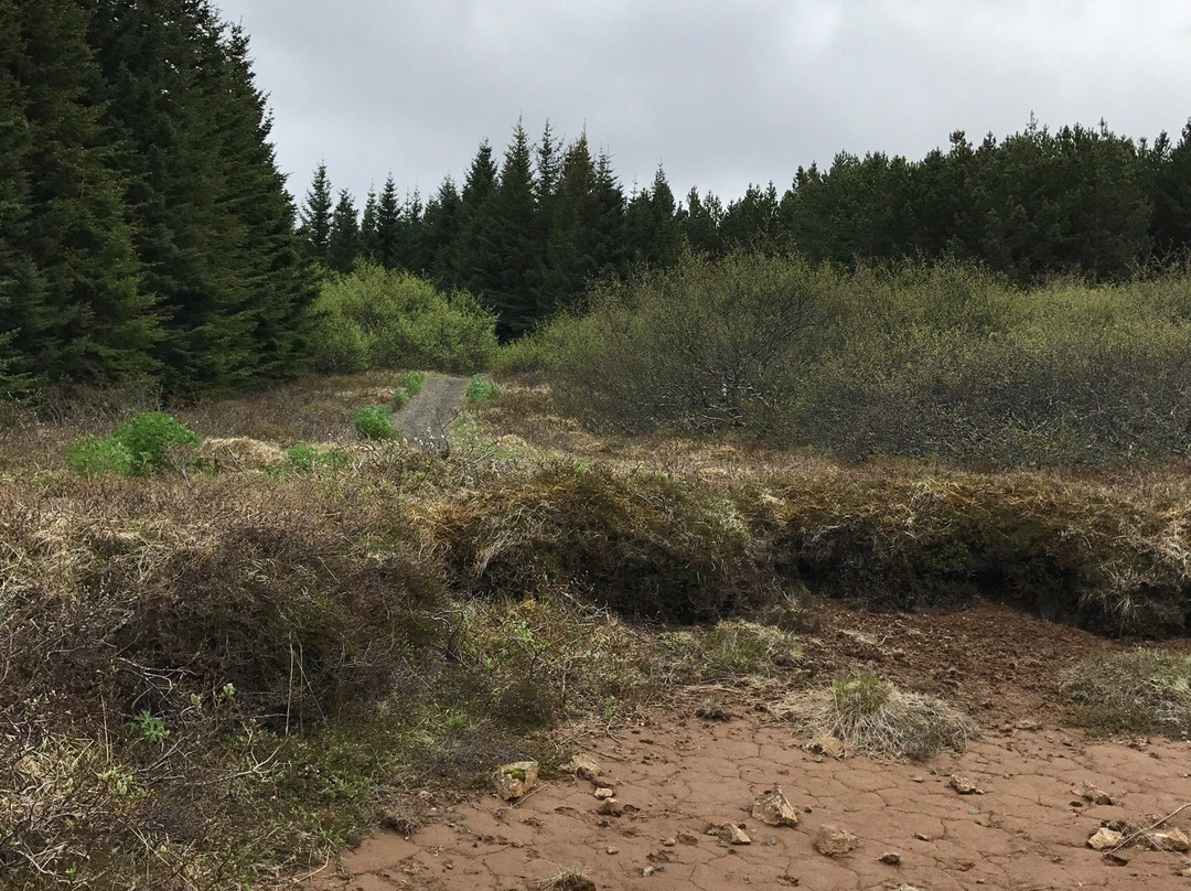 Heidmörk Nature Reserve-雷克雅未克必去景点