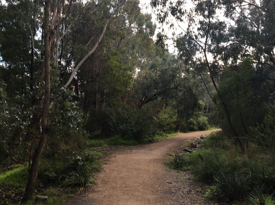 Damper Creek Reserve景点图片