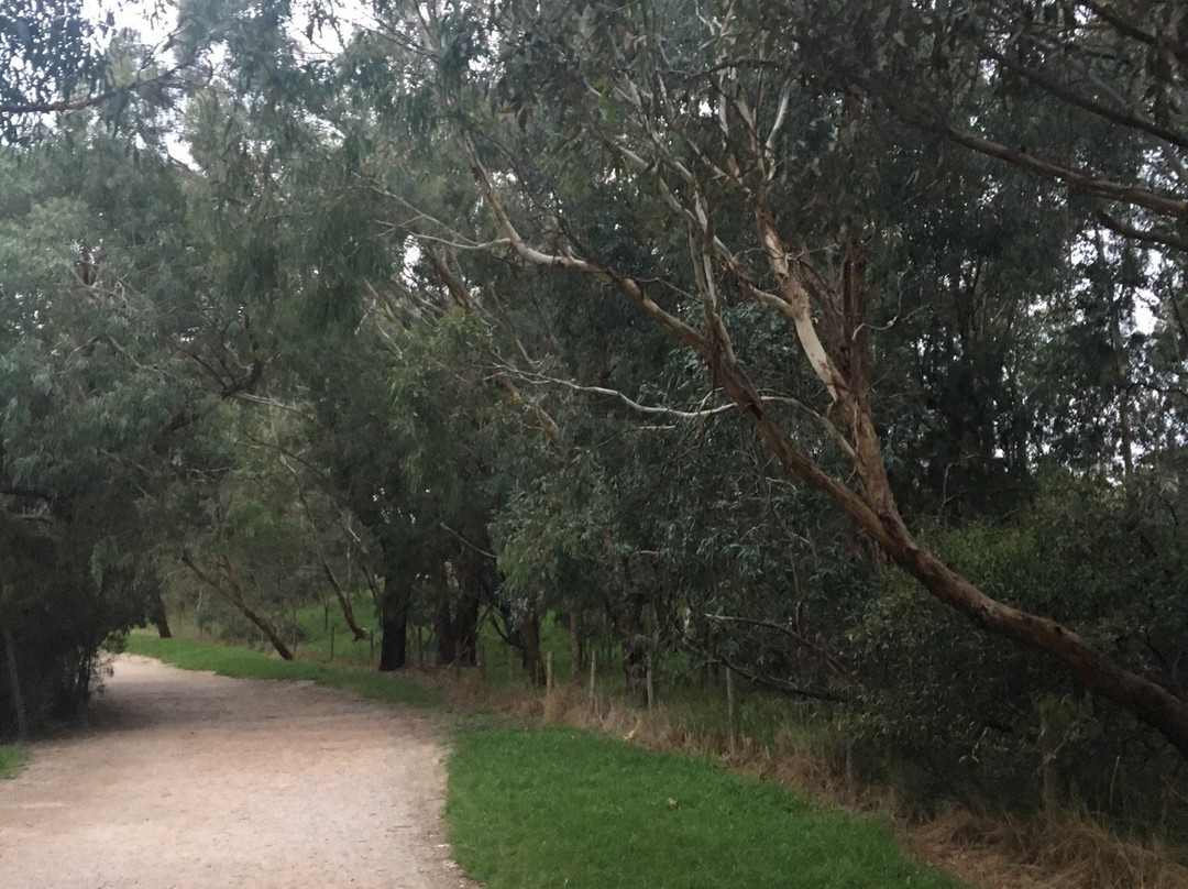Gardiner Creek Reserve景点图片