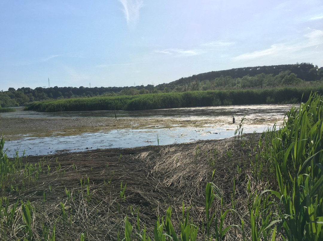 Oasi WWF di Persano-Serre必去景点