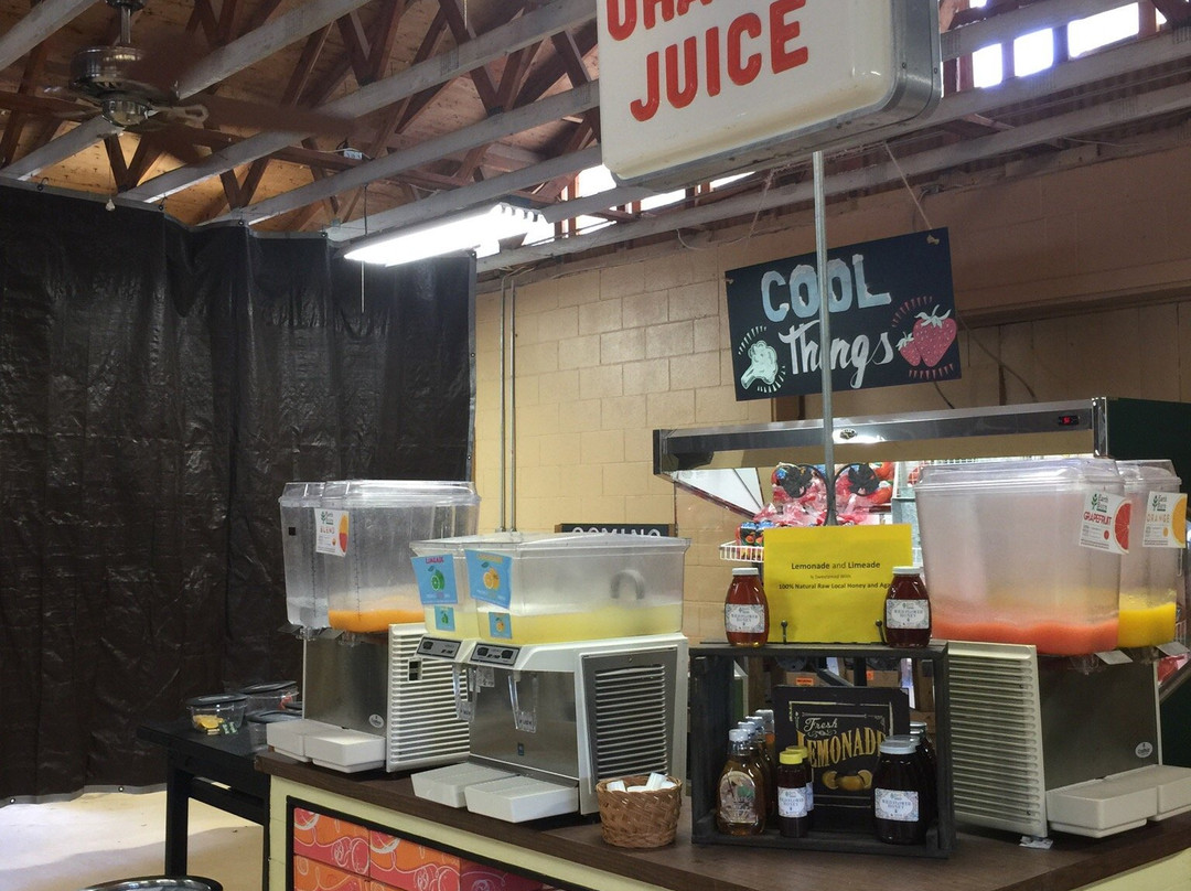 Klement's Grove-麦卡伦必去景点