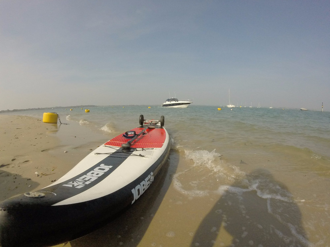Paddle Board Adventures景点图片