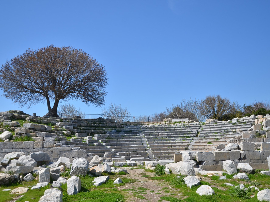 Teos Antik Kenti景点图片