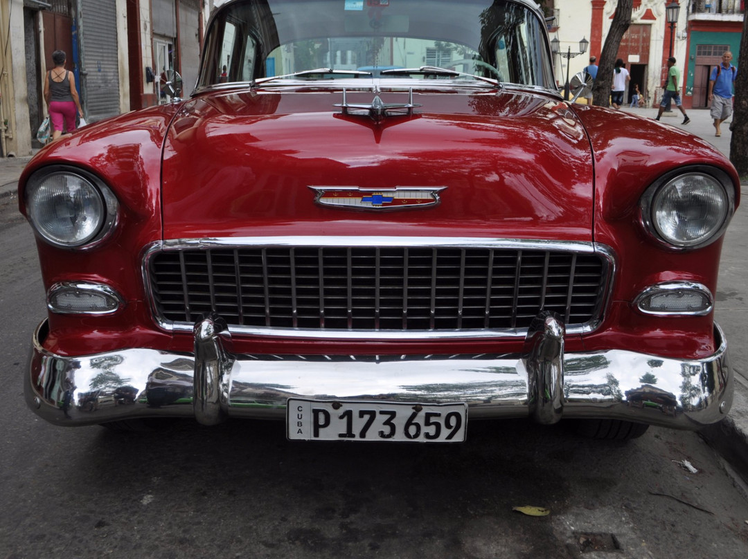 Photography Workshops-特立尼达必去景点