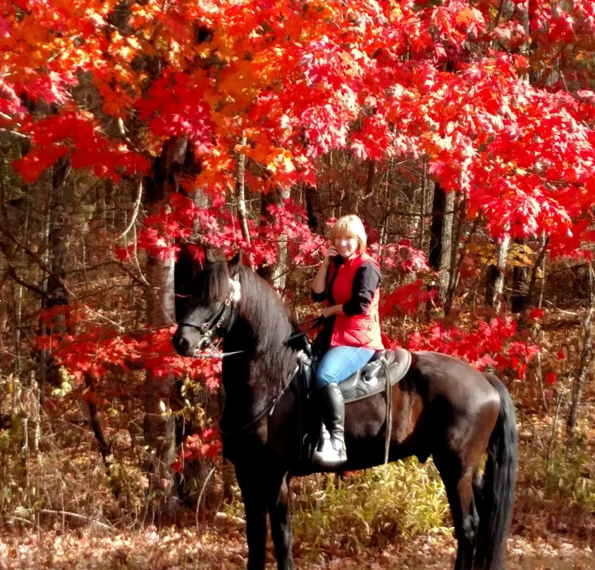 Saddle View Outfitters-Sunset必去景点
