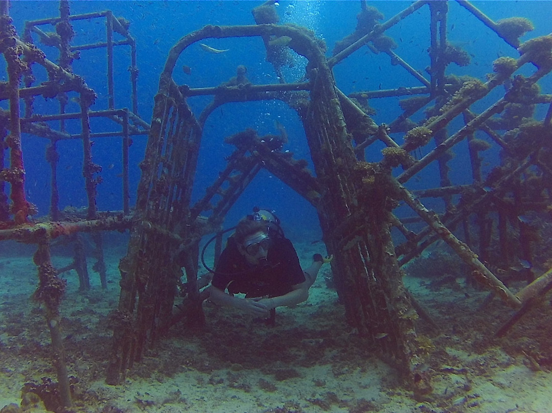 DiveAsia Tioman-刁曼岛必去景点
