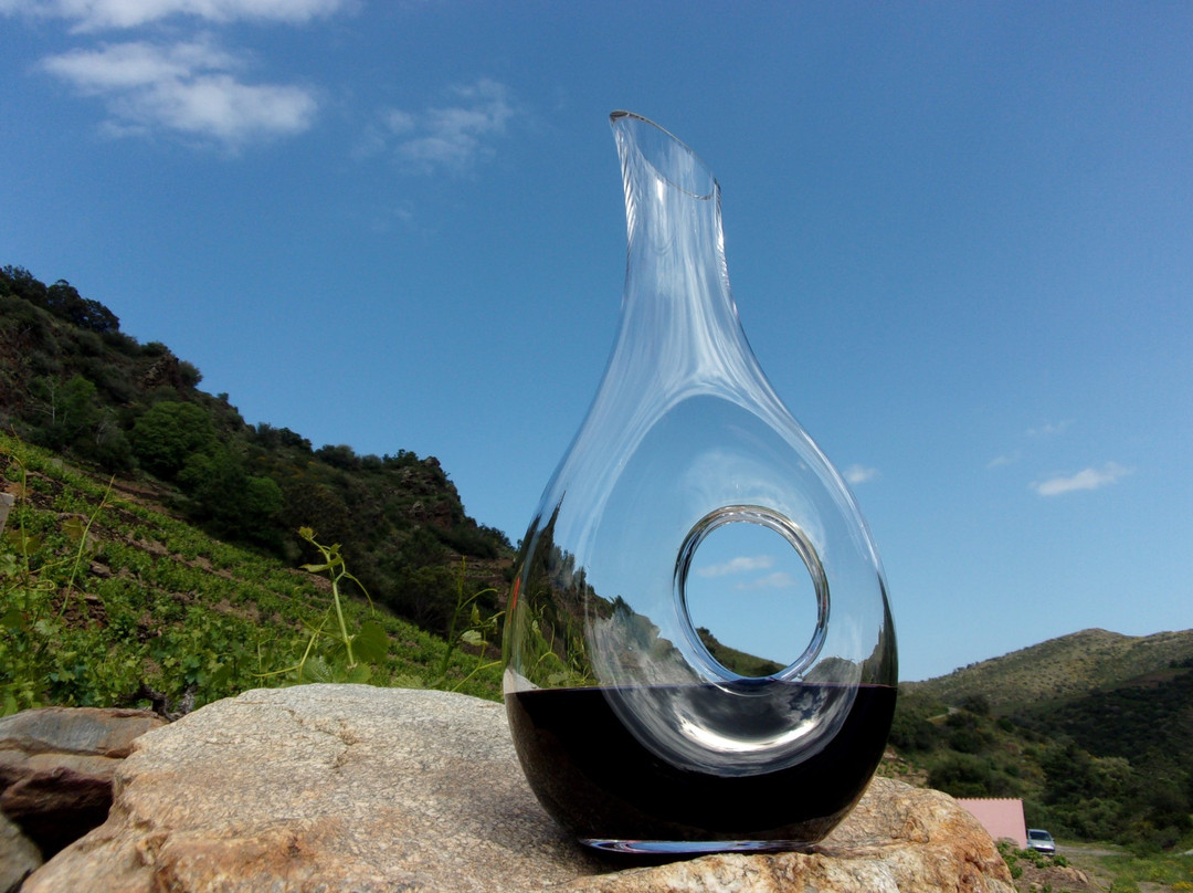 Clos Castell景点图片