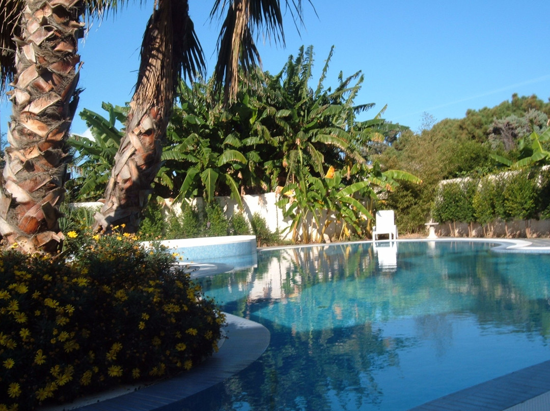 Regent Beach Hotel & Apartments