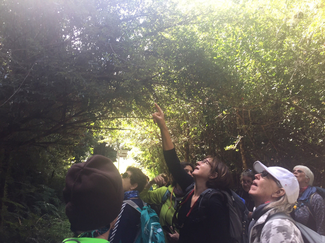 Patagonia Trails-巴拉斯港必去景点