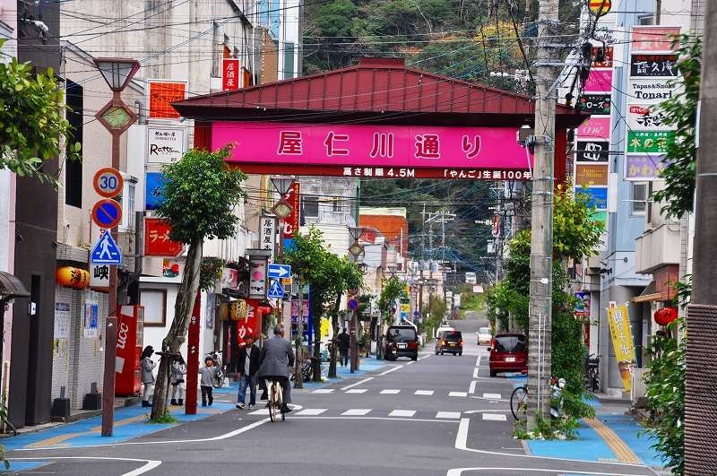 奄美市旅游景点-Yanigawa Shopping Street