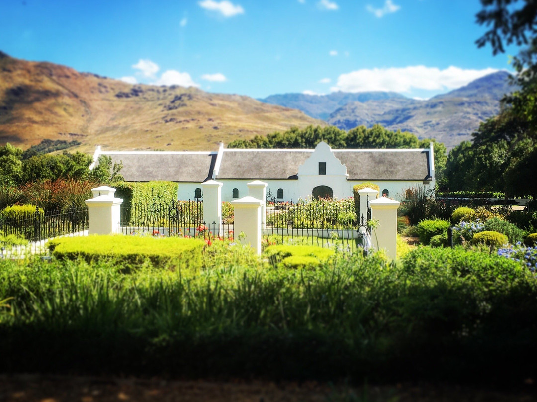 Sasa Hivi Explorers-开普敦中心区必去景点